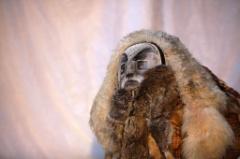 Legende Polaire d Os et de Chair  032 * 5616 x 3744 * (12.03MB)